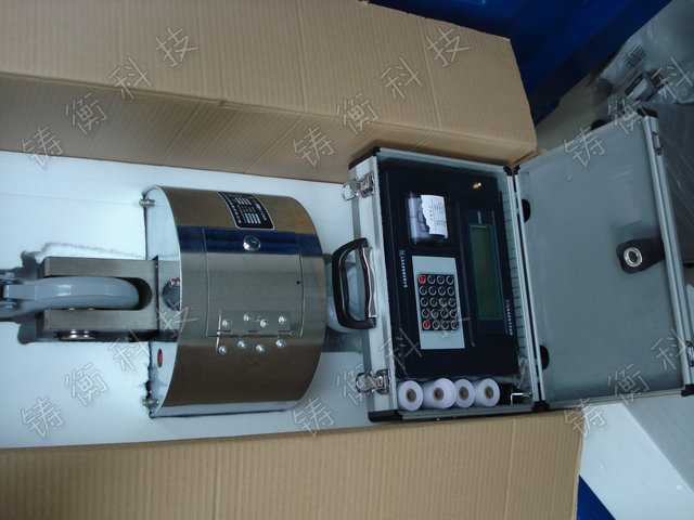 無(wú)線數(shù)傳電子吊秤