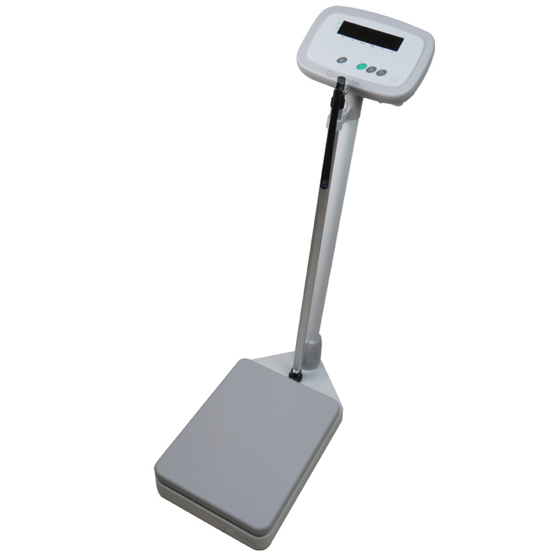 �������w�w�سӣ����U�y�������w�س�